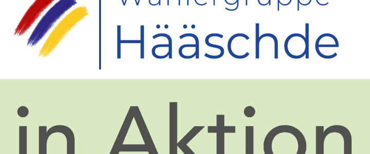 Arbeitseinsatz im Altwiesenpark, 17.05.2024